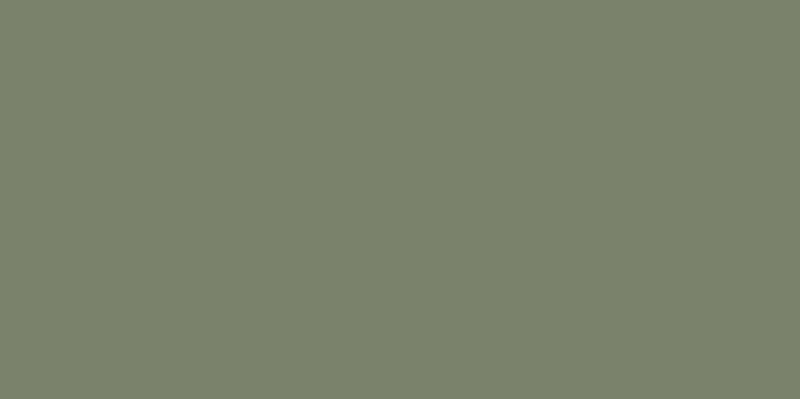 Cielo e Terra Verde Mat